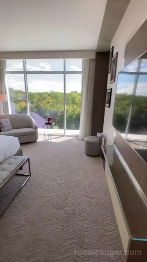 1 Bedroom Executive Suite, 1 King, Sofa Bed (#524) bed picture #4