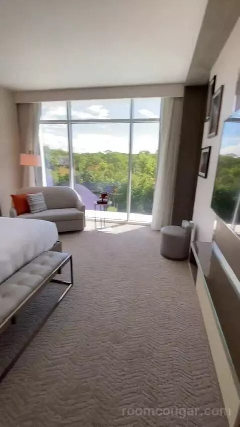 1 Bedroom Executive Suite, 1 King, Sofa Bed (#524) bed picture #5