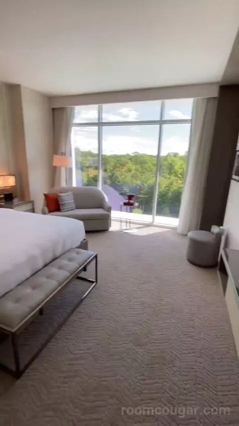 1 Bedroom Executive Suite, 1 King, Sofa Bed (#524) bed picture #6
