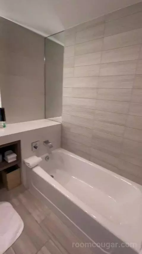 1 Bedroom Executive Suite, 1 King, Sofa Bed (#524) bathroom picture #1