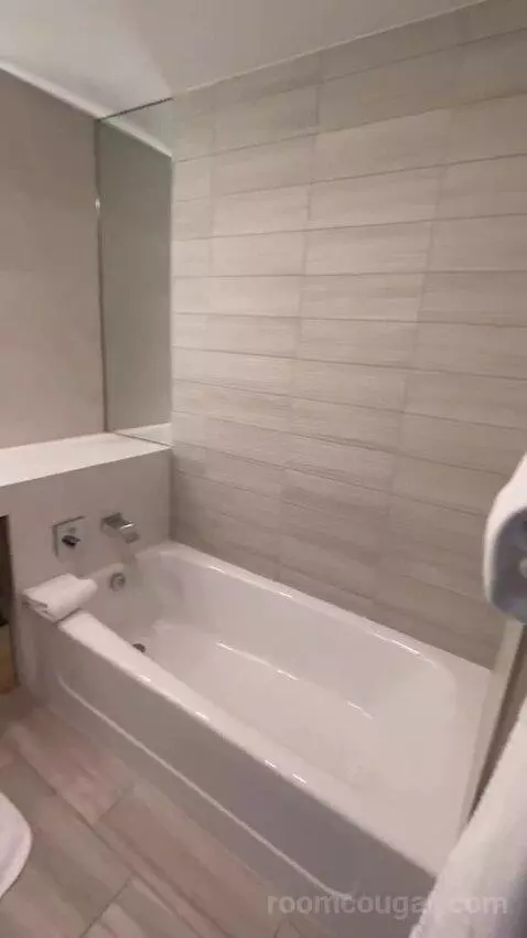 1 Bedroom Executive Suite, 1 King, Sofa Bed (#524) bathroom picture #2