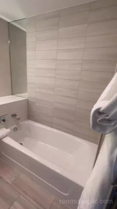 1 Bedroom Executive Suite, 1 King, Sofa Bed (#524) bathroom picture #3