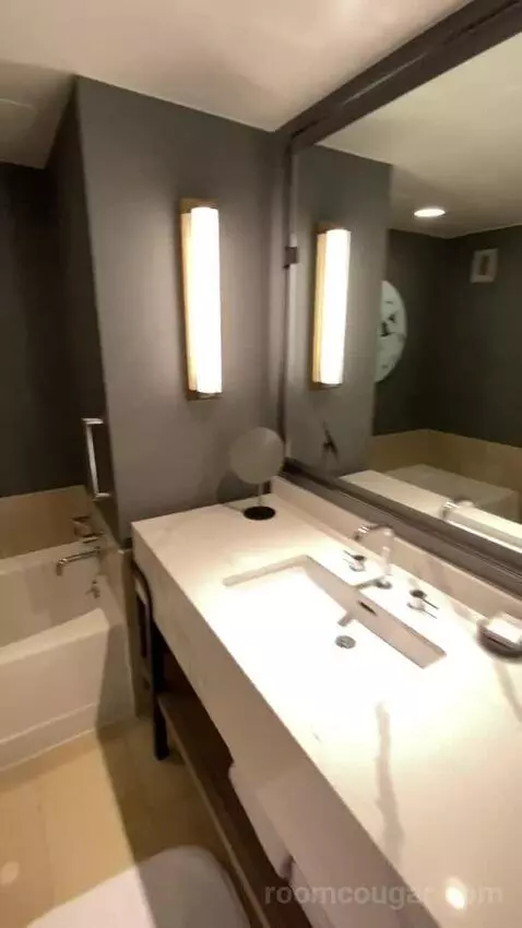 Wetbar, Executive Suite, 1 King, Sofa Bed, Lakefront (#19057) bathroom picture #4