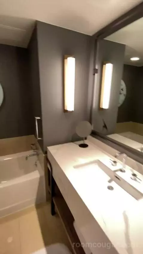 Wetbar, Executive Suite, 1 King, Sofa Bed, Lakefront (#19057) bathroom picture #5