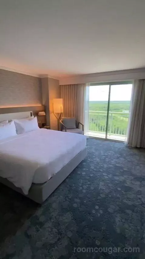 Wetbar, Executive Suite, 1 King, Sofa Bed, Lakefront (#19057) view picture #1