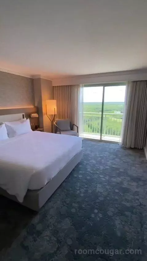 Wetbar, Executive Suite, 1 King, Sofa Bed, Lakefront (#19057) view picture #2