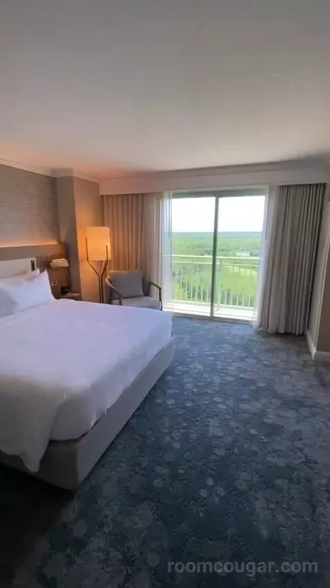 Wetbar, Executive Suite, 1 King, Sofa Bed, Lakefront (#19057) view picture #3