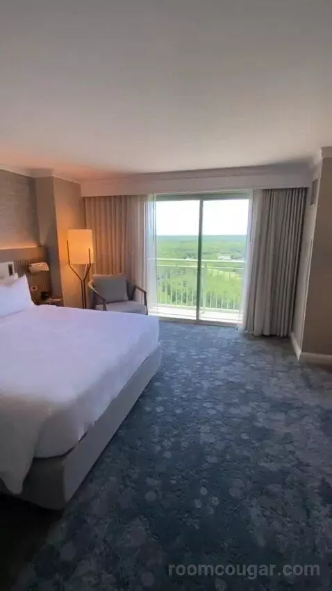 Wetbar, Executive Suite, 1 King, Sofa Bed, Lakefront (#19057) view picture #4