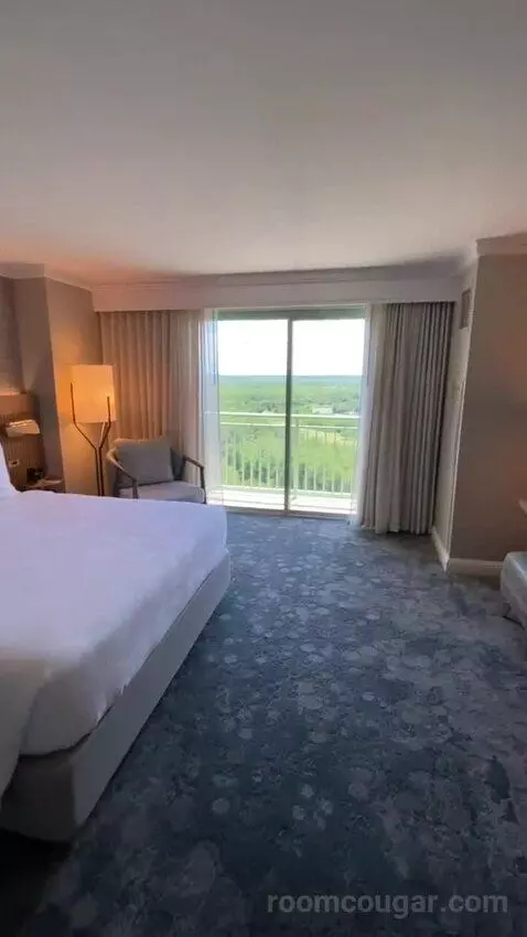 Wetbar, Executive Suite, 1 King, Sofa Bed, Lakefront (#19057) view picture #5