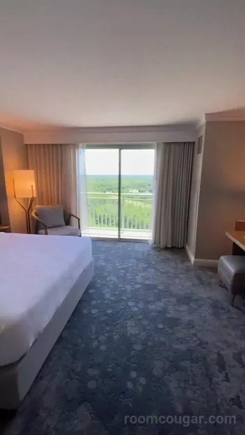 Wetbar, Executive Suite, 1 King, Sofa Bed, Lakefront (#19057) view picture #6