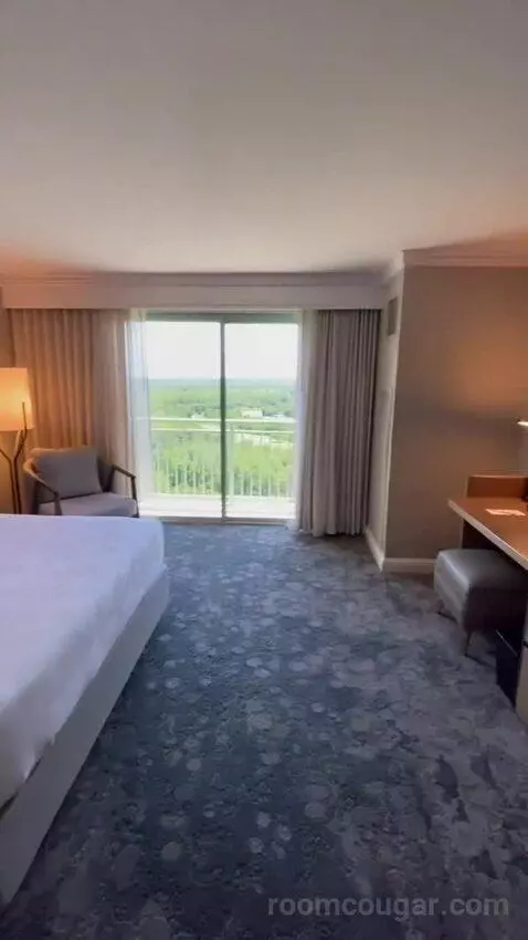 Wetbar, Executive Suite, 1 King, Sofa Bed, Lakefront (#19057) view picture #7
