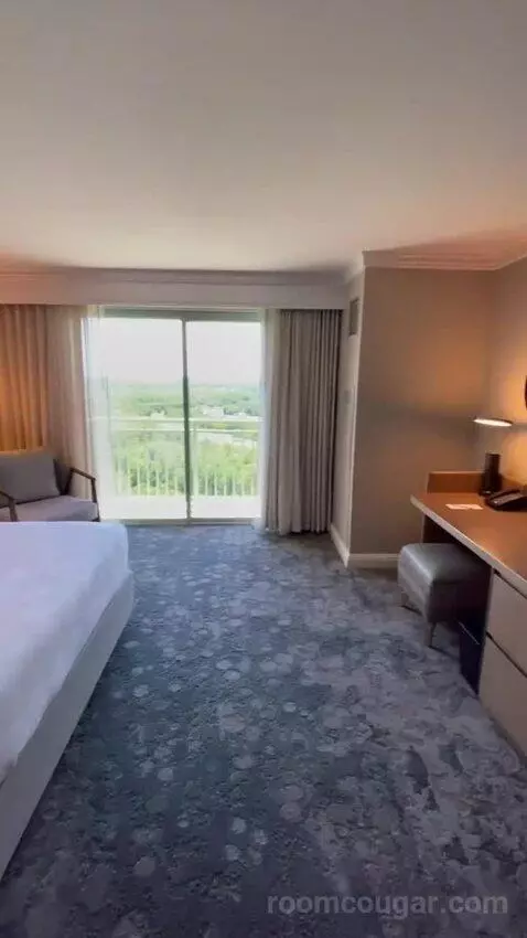 Wetbar, Executive Suite, 1 King, Sofa Bed, Lakefront (#19057) view picture #8