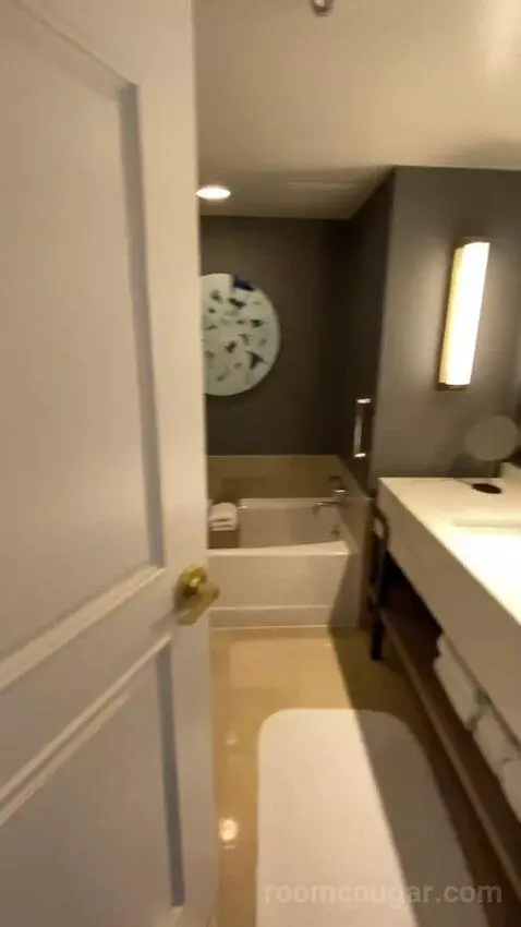 Wetbar, Executive Suite, 1 King, Sofa Bed, Lakefront (#19057) bathroom picture #1