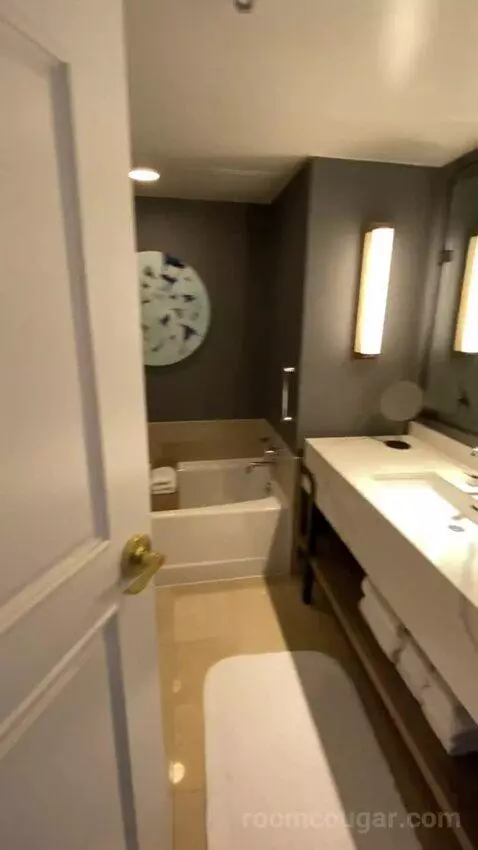 Wetbar, Executive Suite, 1 King, Sofa Bed, Lakefront (#19057) bathroom picture #2