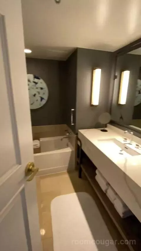 Wetbar, Executive Suite, 1 King, Sofa Bed, Lakefront (#19057) bathroom picture #3