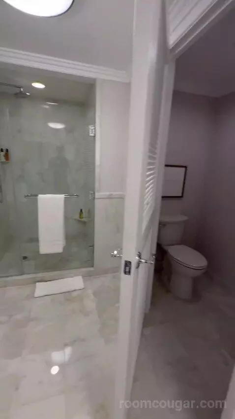 Executive Suite 1 King Bed, Lakefront View, Pool View (#362) bathroom picture #8