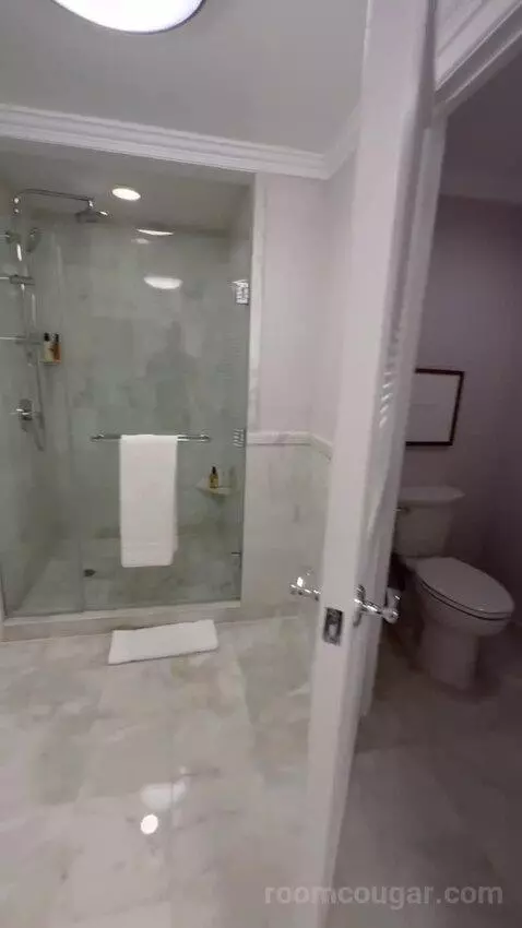 Executive Suite 1 King Bed, Lakefront View, Pool View (#362) bathroom picture #9