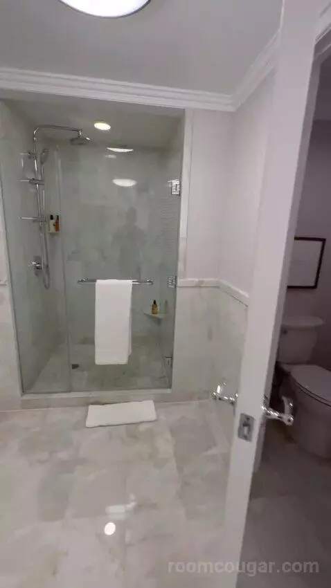 Executive Suite 1 King Bed, Lakefront View, Pool View (#362) bathroom picture #10