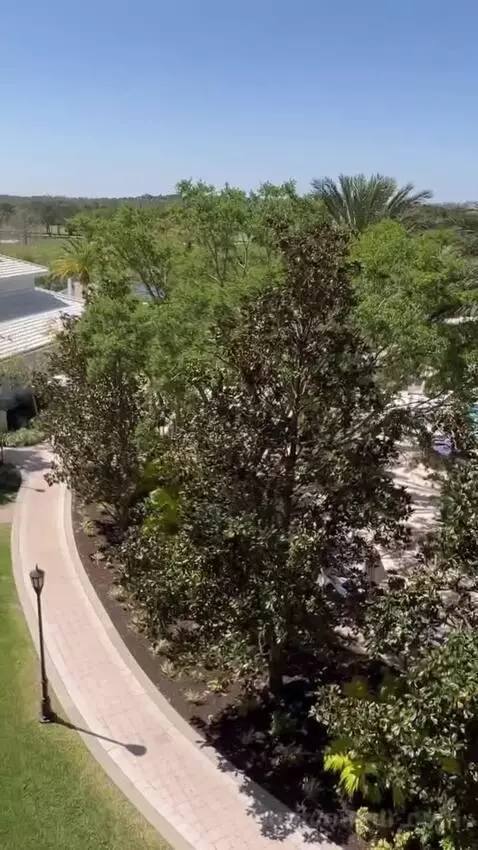 Executive Suite 1 King Bed, Lakefront View, Pool View (#362) view picture #9