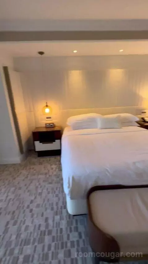 Executive Suite 1 King Bed, Lakefront View, Pool View (#362) bed picture #4
