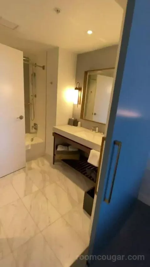 Signature Pool View, Suite, 2 Queen, Sofa Bed (#7301) bathroom picture #3