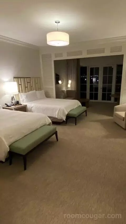 Junior Suite, 2 Queen, Sofa Bed bed picture #5