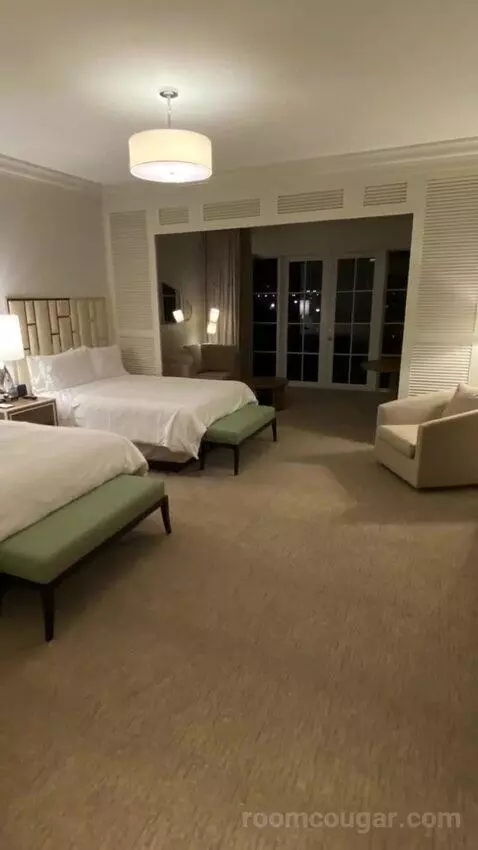 Junior Suite, 2 Queen, Sofa Bed bed picture #8
