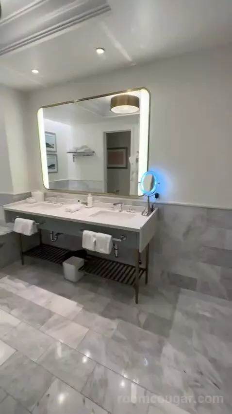 Junior Suite King, Junior Suite, 1 King, Sofa Bed, Balcony (#1605) bathroom picture #2