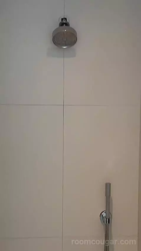 Standard Double Room bathroom picture #8