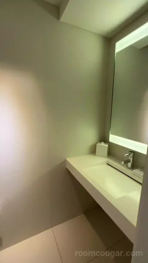 Deluxe King Room with City View (#435) bathroom picture #1