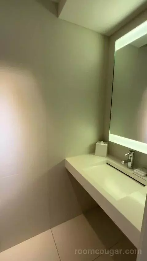 Deluxe King Room with City View (#435) bathroom picture #2