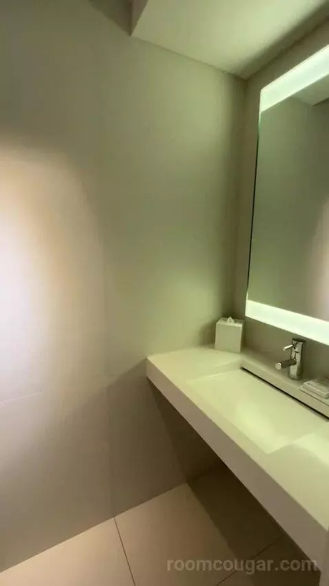 Deluxe King Room with City View (#435) bathroom picture #3