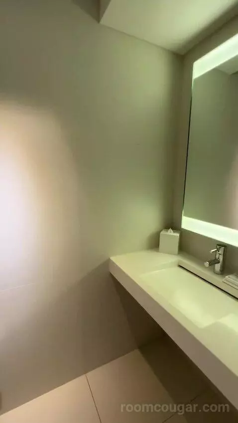 Deluxe King Room with City View (#435) bathroom picture #4