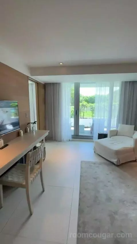 Deluxe King Room with City View (#435) view picture #3