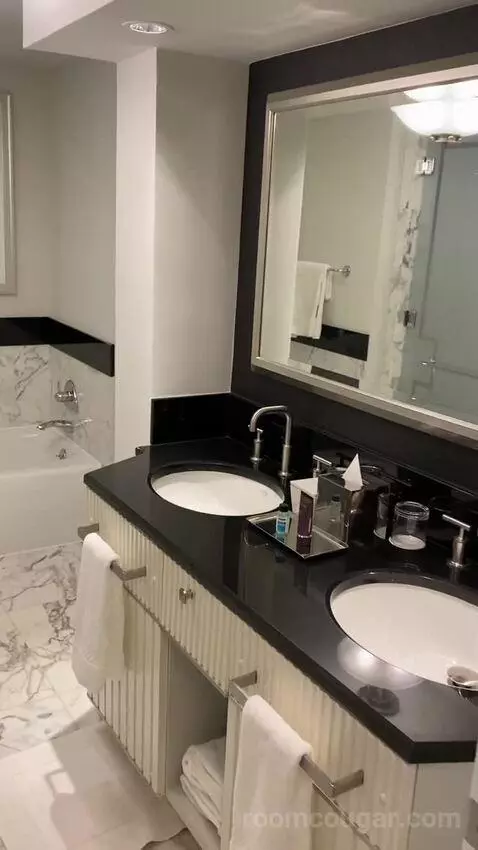 Classic Room with 2 Double Beds bathroom picture #5