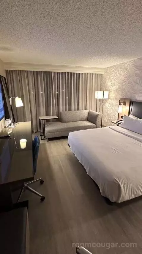 Guest Room with King Bed bed picture #9