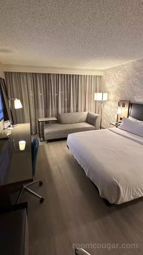 Guest Room with King Bed bed picture #10