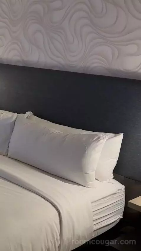 Guest Room with King Bed bed picture #4