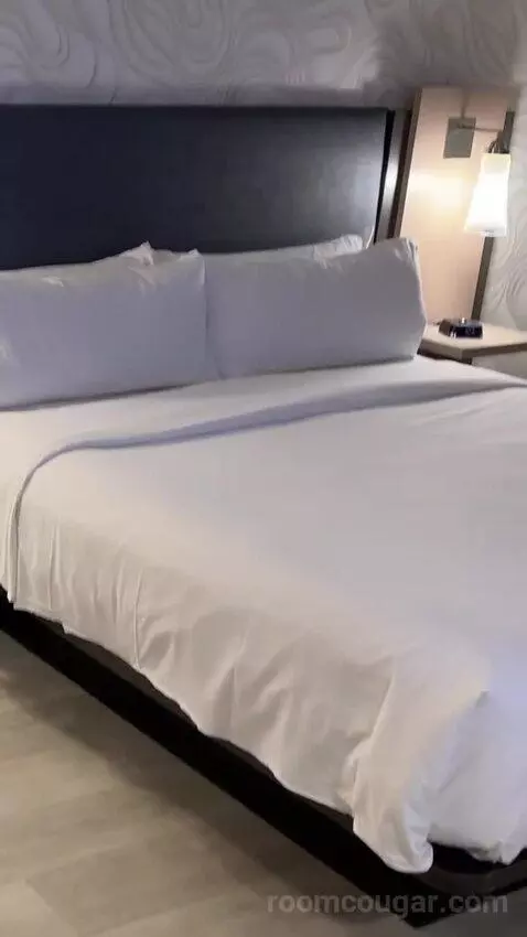 Guest Room with King Bed bed picture #7