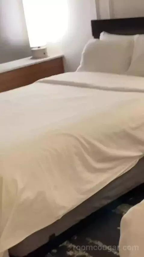 Deluxe Double Room with Two Double Beds - Harbor View (#3106) bed picture #9