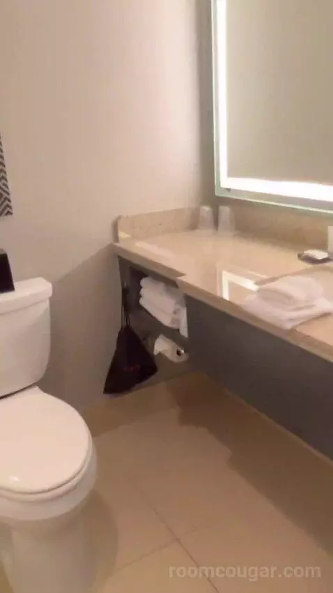 Guest Room with Two Queen Beds and City View bathroom picture #1