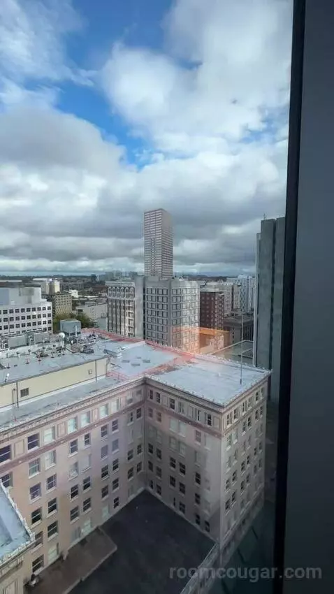 Executive Suite, 1 Bedroom Suite, 1 King California, Corner Room (#1123) view picture #7
