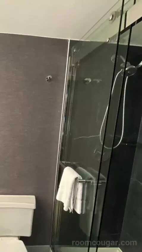 2 Double Beds, Guest Room bathroom picture #6