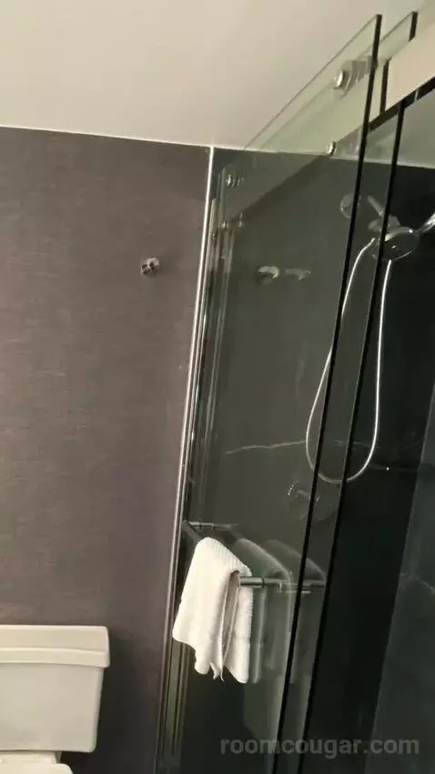2 Double Beds, Guest Room bathroom picture #8