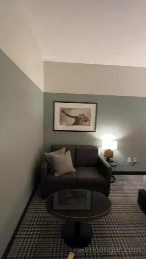 Deluxe, Deluxe Guest Room, 1 King, Sofa Bed (#331) bed picture #5