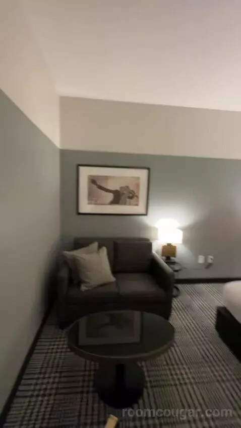 Deluxe, Deluxe Guest Room, 1 King, Sofa Bed (#331) bed picture #6