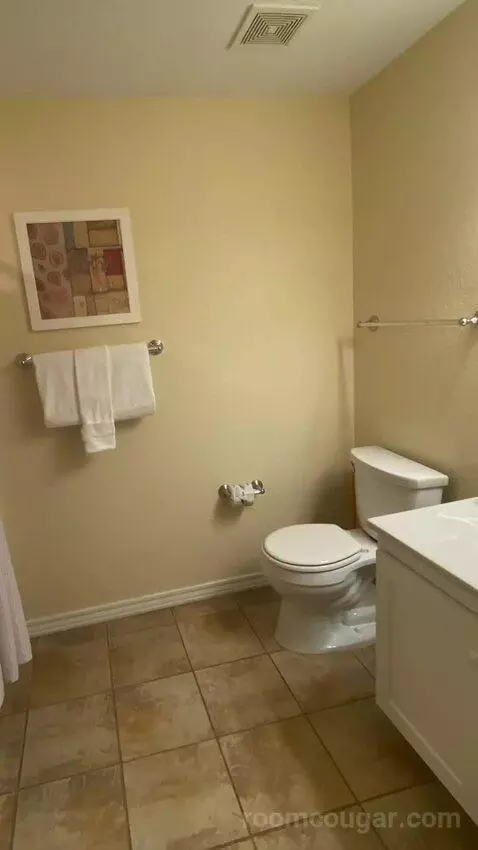 2 Bedroom Villa bathroom picture #12