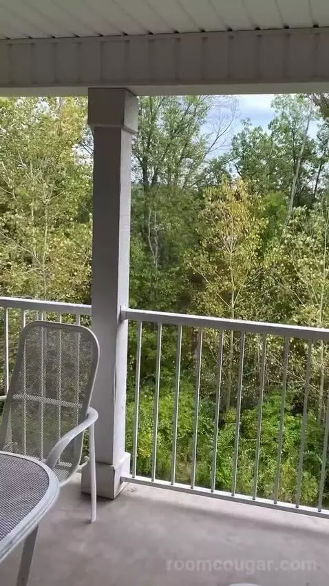 2 Bedroom Villa picture #24