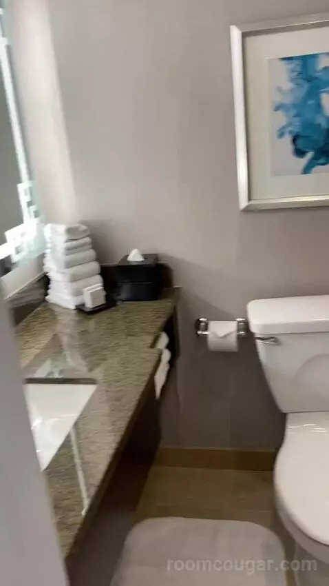 Double Room with 2 Double Beds and Monument View bathroom picture #6
