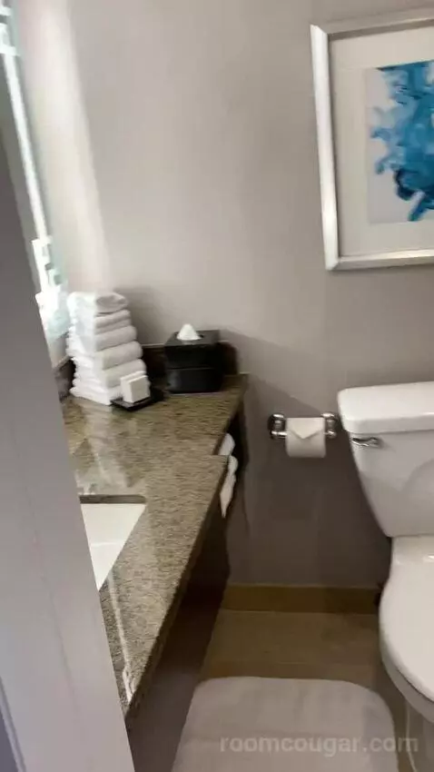 Double Room with 2 Double Beds and Monument View bathroom picture #3
